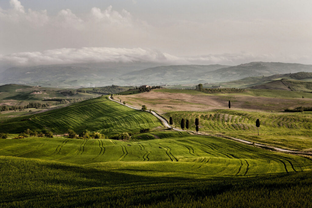 Gladiator Road near Pienza, cypress hills of Val d’Orcia Tuscany near Villa Montelandi