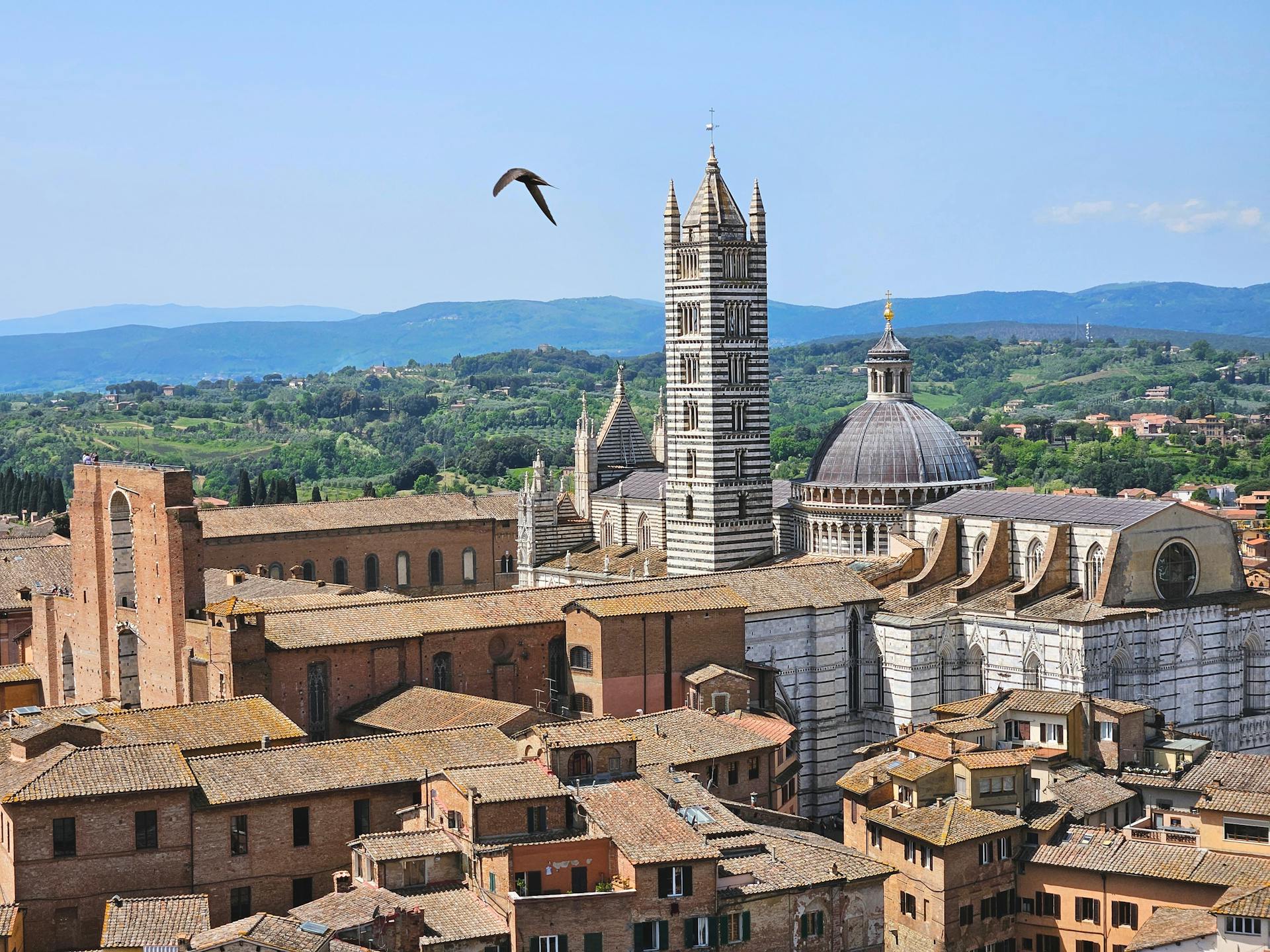 Siena