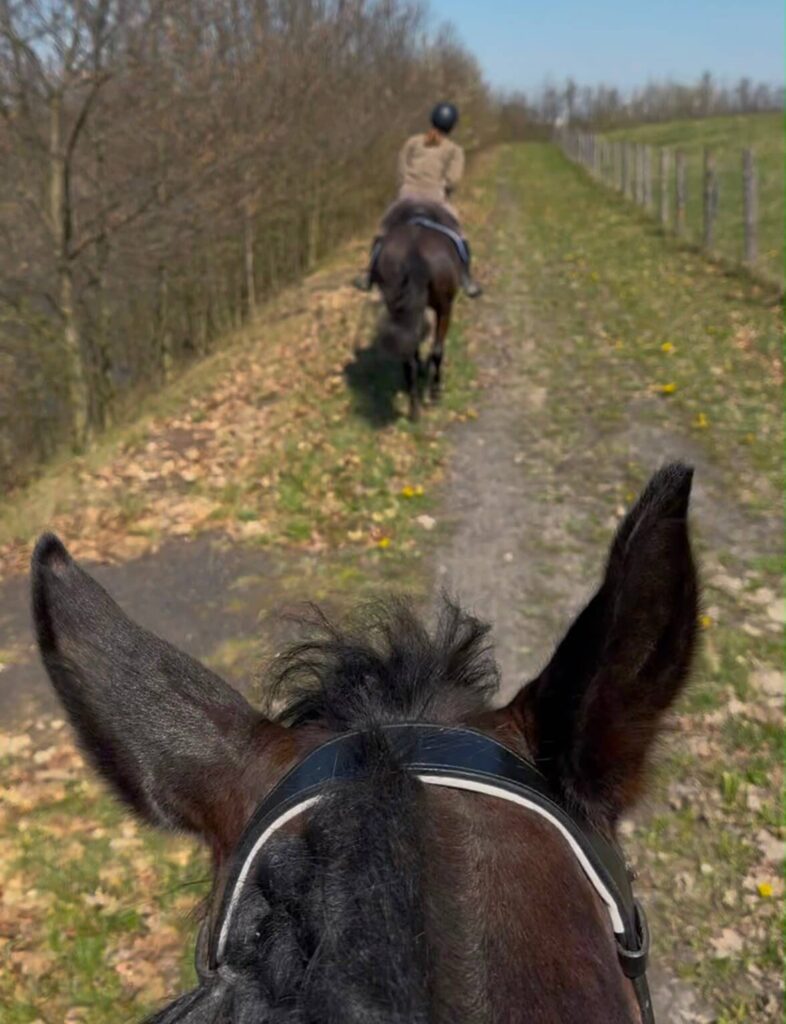 horse walk ride Tuscany