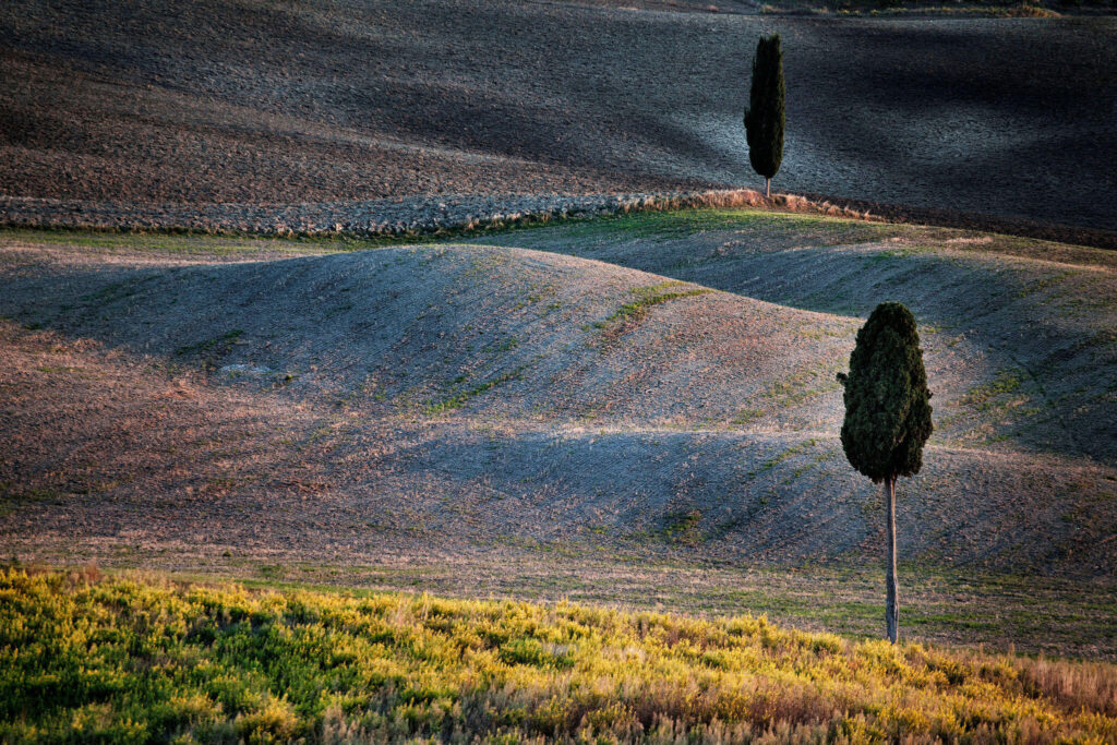 Pienza val d'Orcia cipressi Tuscany rolling hills