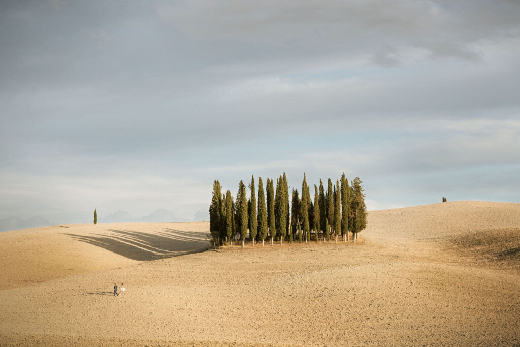 San Quirico val d'Orcia cipressi formation Tuscany rolling hills