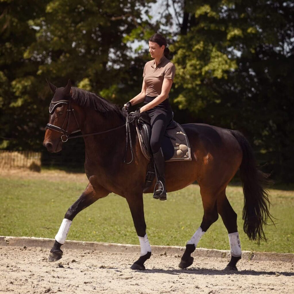 horse walk ride Tuscany