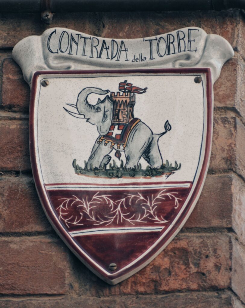siena palio traditional horse race contrada della torre