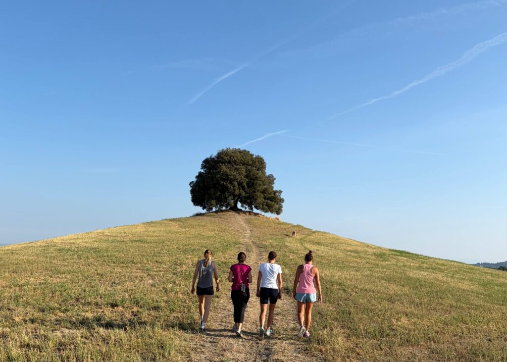 team building walking hiking in Tuscany countryside tree